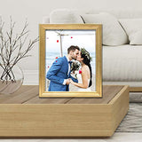 Lawrence Frames 536280 Sutter Gold 8x10 Picture Frame Lawrence Frames