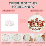 Zhenqing Three Christmas Squirrels Embroidery Kit for Beginners, Pre-Printed 29x29cm Circular Cotton Fabric with 20cm Hoop, Festive Animal Holiday Decor (C0198)