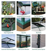 Palram - Canopia Rion Prestige 8 Ft. x 12 Ft. Greenhouse, Large Twin Wall Polycarbonate Heavy Duty Green House DIY Kit for Garden, Plants, Walk-in for Outdoors with Window Vent (Green) RION