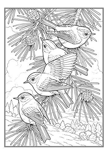 Creative Haven Glorious Songbirds Coloring Book (Adult Coloring Books: Animals) WoodArtSupply