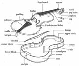 Jiayouy Violin Parts & Accessories 4/4 Violin DIY Kit for Students Beginners Music Lover Make Your Own Violin Jiayouy