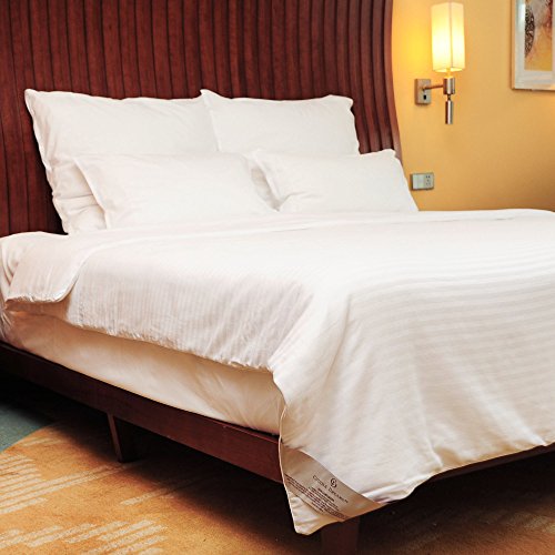 CUDDLE DREAMS Silk Comforter for Spring/Summer/Fall, 100% Long-Strand Silk Filling, Natural & Breathable (Twin Size) CUDDLE DREAMS