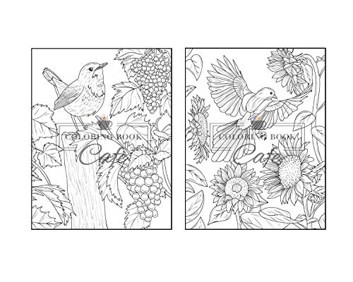 Songbirds Coloring Book: An Adult Coloring Book Featuring Beautiful Songbirds, Exquisite Flowers and Relaxing Nature Scenes Majosta