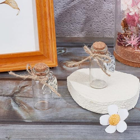 DELORIGIN 2pcs Pet Hair Glass Memorial Bottle Wishing Bottle with Heart Pendants and Cork Stopper Dog Cat Glass Tube Keepsake Memorial Urn Pet Sympathy Glass Vial Remembrance Gift for Pet Ashes Hair DELORIGIN
