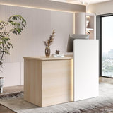 SNKBOAT Small Reception Desk, 47" Front Desks Reception Counter, Front Desk Counter with LED Lights, Lockable Drawer, Two-Tone Design, Privacy Panel, for Office, Salon, Store SNKBOAT