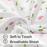 Mooreeke Full Sheets Set - 4 Pieces Soft Breathable Microfiber Bed Sheet Set - Pink Flower Green Leaf Pattern Sheet Set - Deep Pocket Non-Slip Floral Printed Fitted Sheet Included for All Season Mooreeke