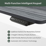 FEZIBO 48" Electric Standing Desk with Shelves, 48 x 24 Inch Sit Stand Rising Desk with Monitor Stand and Storage, Ergonomic Home Office Computer Desk, Rustic FEZIBO