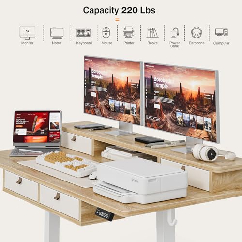 Grandder 47 Inch Electric Standing Desk with Four Drawers, Sit to Stand Up, Height Adjustable Desk with Storage Shelf for Home Office, Study, Ergonomic Adjustable Computer Desk, Oak Grandder