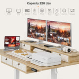 Grandder 47 Inch Electric Standing Desk with Four Drawers, Sit to Stand Up, Height Adjustable Desk with Storage Shelf for Home Office, Study, Ergonomic Adjustable Computer Desk, Oak Grandder