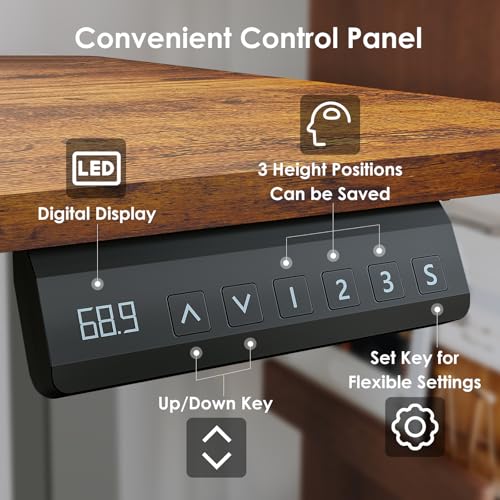 DSNAPE 48x24 Inch Electric Standing Desk with 2 Drawers, Adjustable Height Desk with Storage Shelf, 3 Preset Heights, 2 Hooks and Cable Management, Ergonomic Rising Computer Table for Home Office DSNAPE