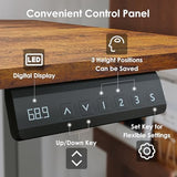 DSNAPE 48x24 Inch Electric Standing Desk with 2 Drawers, Adjustable Height Desk with Storage Shelf, 3 Preset Heights, 2 Hooks and Cable Management, Ergonomic Rising Computer Table for Home Office DSNAPE