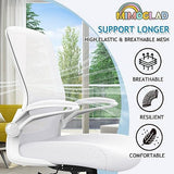 Mimoglad Ergonomic High Back Mesh Office Chair, Adjustable Lumbar Support, Thickened Seat Cushion Mimoglad