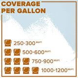 INSL-X EGG310S9A-1K Garage Guard Waterbased Epoxy Semi-Gloss Paint 1 Gallon Kit Showroom Gray INSL-X