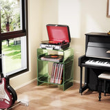 Acrylic Record Player Table with Storage Shelf, Clear Side Table Nightstand (Green, Large) Acrylicolor