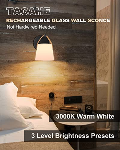 TACAHE Battery Operated Wall Sconce with Glass Shade - 3000K Warm White & 3 Brightness Setting - 4000 mAh Rechargeable Battery - Not Hardwired Needed - Wall Accent Night Light for Bedroom - B - WoodArtSupply