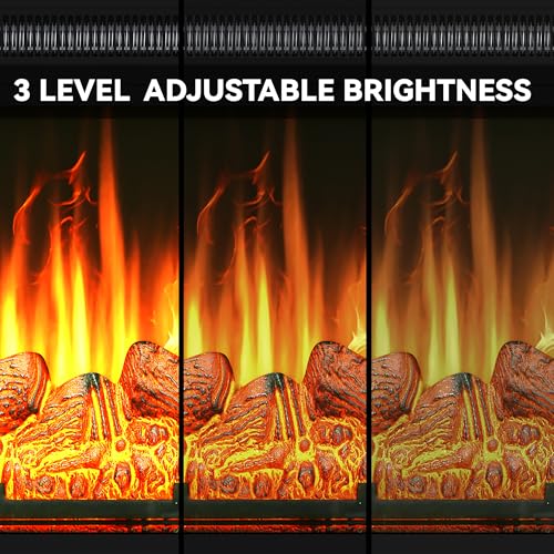 DWVO 23 Inches Electric Fireplace Insert, Recessed Fireplace Heater with Remote Control, Adjustable Temperature, 6H Timer, Adjustable Flame Brightness, 120V 1400W, Firewood DWVO