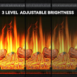 DWVO 23 Inches Electric Fireplace Insert, Recessed Fireplace Heater with Remote Control, Adjustable Temperature, 6H Timer, Adjustable Flame Brightness, 120V 1400W, Firewood DWVO