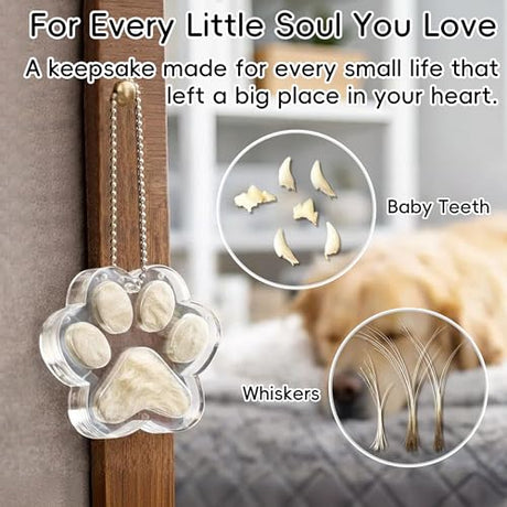 AXEFUN Pet Fur Keepsake Paw – Clear Acrylic Pet Memorial Ornament with Magnetic Openable Memory Chamber, Pet Loss Remembrance Gift for Dog, Cat & Small Animals AXEFUN