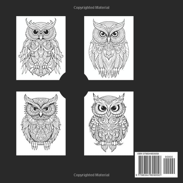 Owl Mandala Coloring Book for Adults: Relaxing Mandala Art Coloring Book for Adults and Grown-Up Kids Majosta