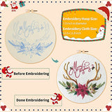 Canlierr 10 Sets Christmas Embroidery Kit with Patterns Instructions Needle Thread Tool Christmas DIY Cross Stitch for Adult Beginner Lover Xmas Holiday Party Supplies(Classic Style)