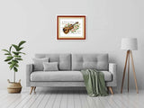 Amiiba Stamped Cross Stitch Kits, Quotes: Music There is Harmony, Harmony There is Peace DIY 11CT 12.5x9.4 inch (Violin) Amiiba