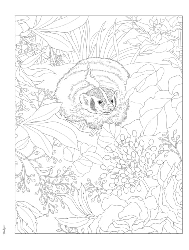 Creative Haven Forest & Woodland Wildlife Coloring Book (Adult Coloring Books: Animals) WoodArtSupply