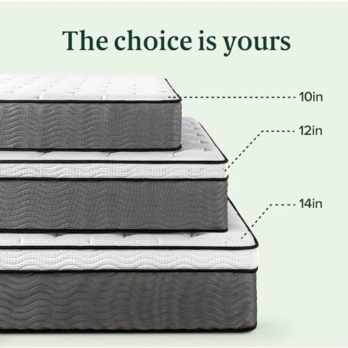 ZINUS 12 Inch True Support Hybrid Mattress [New Version], Queen, Fiberglass Free, Medium Feel, Motion Isolation, Certified Safe Foams & Fabric, Mattress in A Box