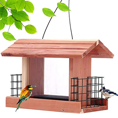 Solution4Patio Homes Garden USA Cedar Bird Feeder Wildbird Essentials Handmade Wooden Outdoor Ranch Patio Yard Tree Hanging with Double Plastic - WoodArtSupply