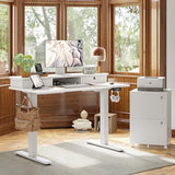 TIQLAB Standing Desk with Two Drawers, Stand Up Standing Desk Adjustable Height, Electric Sit Stand Table with Storage Shelf and Splice Board, 55 * 24 inch, White TIQLAB