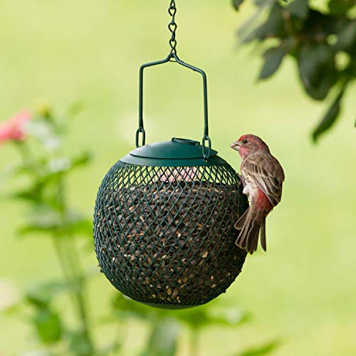 Perky-Pet GSB00344 Green Seed Ball Wild Bird Feeder Perky-Pet