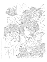 Creative Haven Butterfly Gardens Coloring Book; A Journey through Nature For Stress Relief and Relaxation (Adult Coloring Books: Insects) Dover Publications