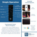 Touchstone Fireplug 24" Electric Fireplace Insert for Existing Masonry Fireplaces | 6 Flame & 13 Ember Colors | Alexa & WiFi Compatible | 1500W Heater Touchstone