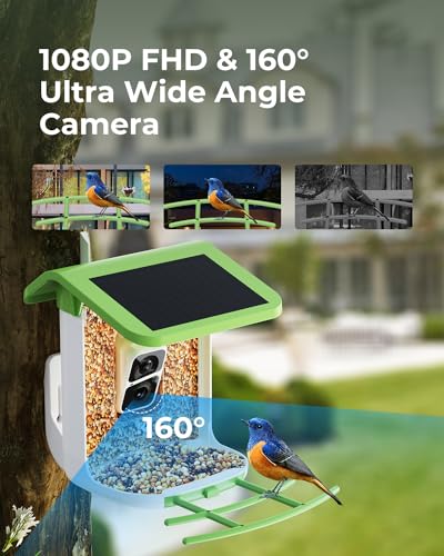 Smart Bird Feeder with Camera, 2-in-1 Bird Feeder Perch, 1080P HD AI Identify Hummingbird Feeder Camera, Auto Capture Bird Videos & Identify 10000+ K&F Concept