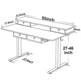 ExaDesk 55 * 30 Inches Electric Standing Widened Desk Adjustable Height with 4 Drawers, Double Storage Shelves Stand Up Desk, Home Office Workstation ExaDesk