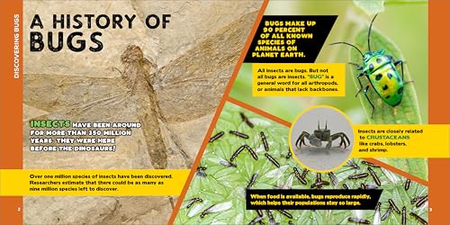 The Fascinating Bug Book for Kids: 500 Startling Facts! (Fascinating Facts) Callisto Kids