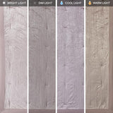 Madison Park Queen Comforter Set, Luxe Velvet, Satin Binding Comforter for a Queen-Size Bed, Cozy Velvet Comforters, All Seasons, Lightweight, Down Alternative Bedding, Full/Queen, Blush 5 Piece Madison Park