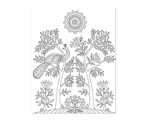 Color & Frame - In the Garden (Adult Coloring Book)