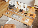 BANTI 48x24 Inch Electric Standing Desk with Dual Drawers, Height Adjustable Stand Up Table, Sit Stand Home Office Desk with Storage Shelf, White Frame/Light Rustic Brown Top BANTI