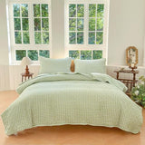 Sage Green Gingham Queen Quilt Set, Soft Pre-washed Microfiber Green Plaid Queen Bedspread, Lightweight Checked Summer Quilt, Grid Bedding Coverlets for All Seasons (Includes 1 Quilt, 2 Pillow Shams) NSNLGSGC