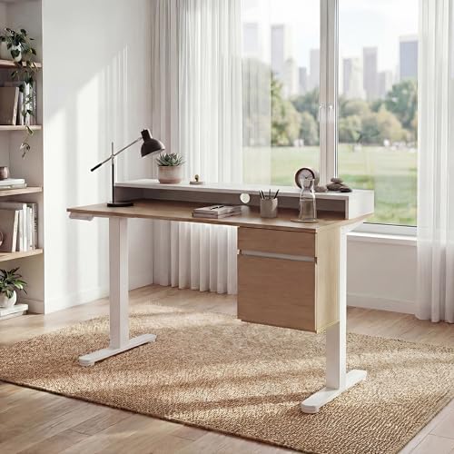 ErGear Electric 47 inch Standing Desk with Drawers and File Cabinet, Adjustable Stand up Desk with Storage, Ergonomic Sit Stand up Table Compatible Monitor Stand, Light Walnut ErGear