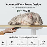 FAMISKY Electric Standing Desk, 63 x 24 Inches Height Adjustable Desk, Ergonomic Home Office Computer Workstation with Splice Board, Light Rustic Brown FAMISKY