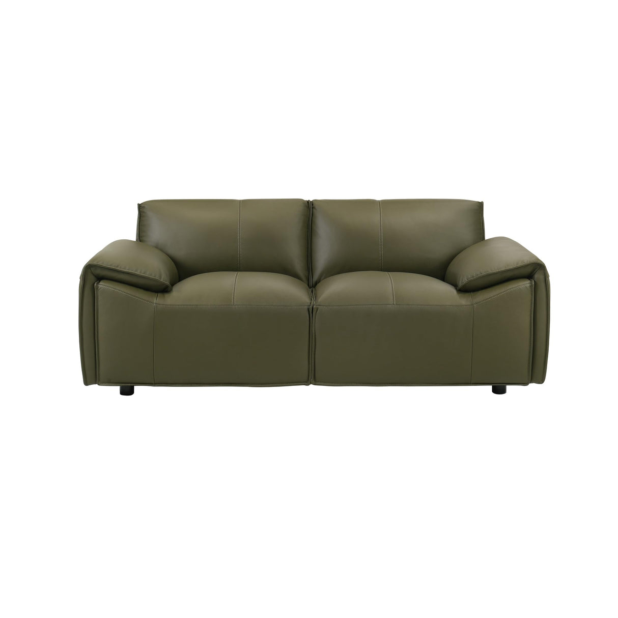 Tanner 74 in. Leather Loveseat with Padded Arms in Green or Khaki Armen Living