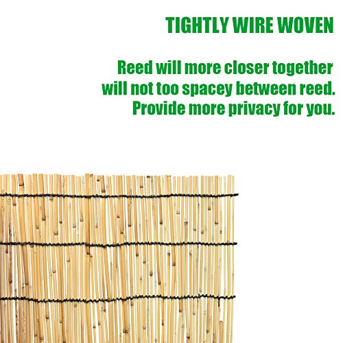 Mininfa Natural Reed Fencing, Eco-Friendly Reed Fence, 4 feet High x 13 feet Long, Reed Screen for Garden, Privacy Mininfa