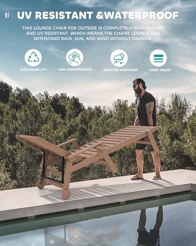 SERWALL HDPE Chaise Lounge Set of 2 for Outdoor, Brown