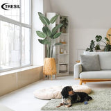 One 5 Foot Artificial Bird of Paradise Palm Tree Potted Plant by TRESIL Bagari Store