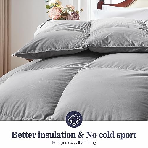 Globon Down Comforter Queen Size,All Season Duvet Insert Ultra-Soft Noiseless Shell,Mediumweight with 8 Corner Tabs, Grey Globon