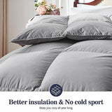 Globon Down Comforter Queen Size,All Season Duvet Insert Ultra-Soft Noiseless Shell,Mediumweight with 8 Corner Tabs, Grey Globon