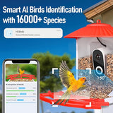 Tinllaans Bird Feeder with Camera,Smart Bird Feeder Camera with Solar Panel,2.5K HD Wild Bird Camera AI Identify Bird Species Auto Capture Videos & Tinllaans