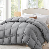 Globon Down Comforter Queen Size,All Season Duvet Insert Ultra-Soft Noiseless Shell,Mediumweight with 8 Corner Tabs, Grey Globon