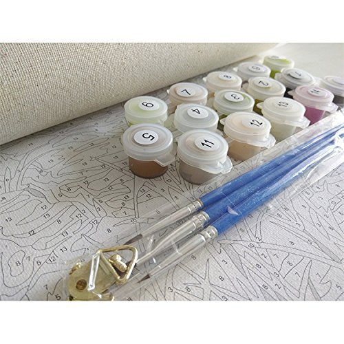 Newsight DIY Oil Painting Paintworks Paint by Number for Kids and Adults (16''Wx20''L , Peony Flower) Newsight